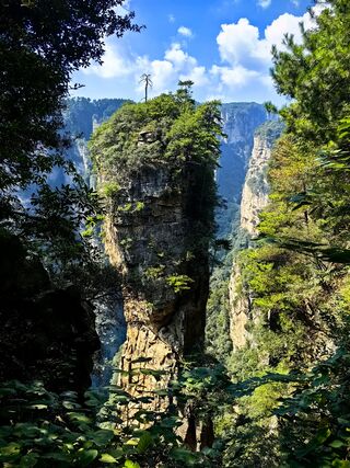 The Back Garden (后花园) — Yuanjiajie, Zhangjiajie