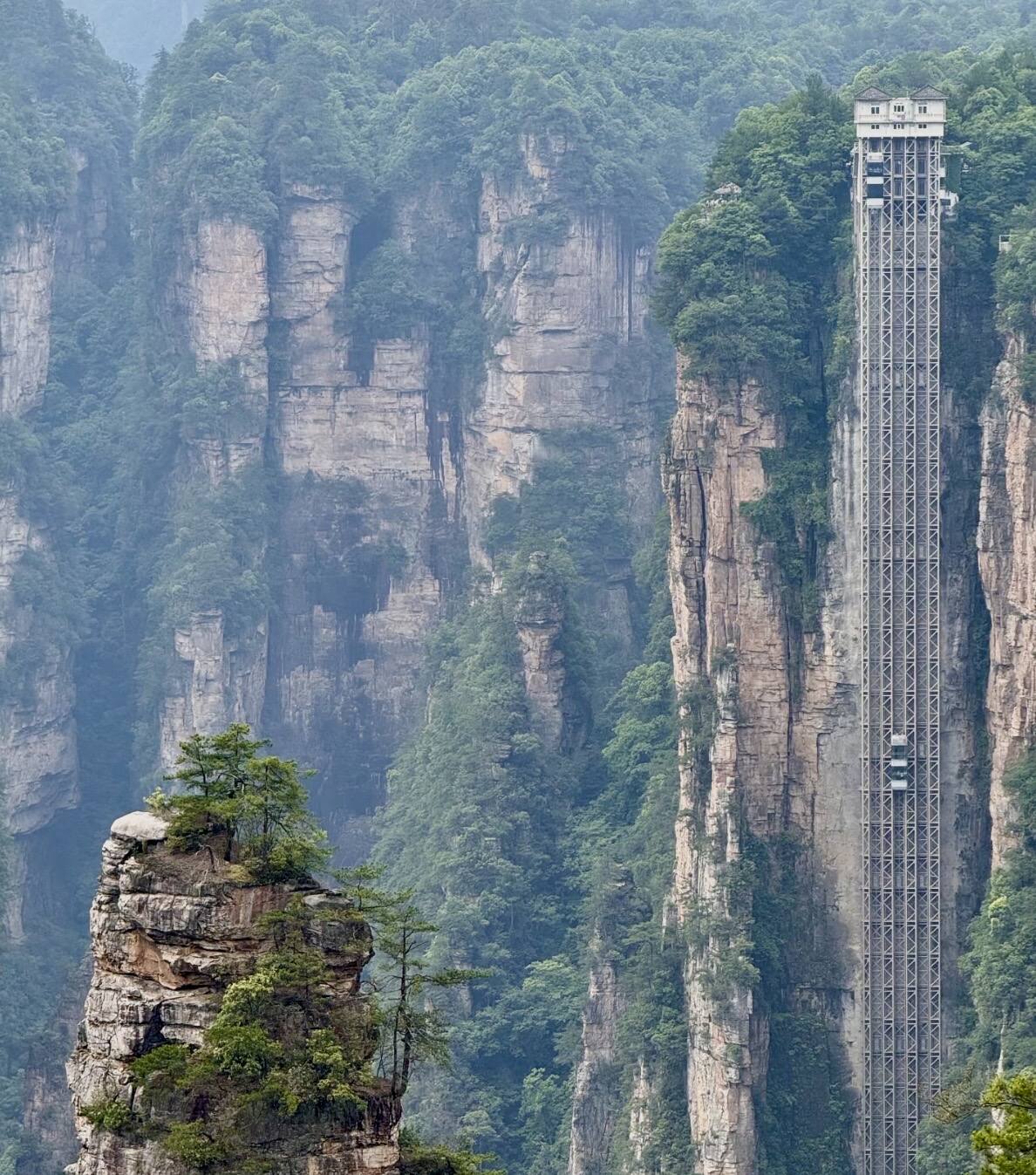 Two double-deck glass cabins of the Bailong Elevator passing on the cliff face, dwarfed by the surrounding sandstone pillars of Zhangjiajie.