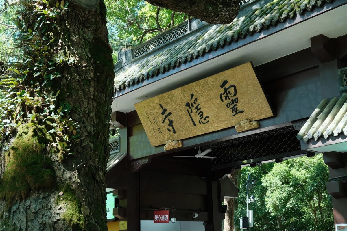 The gilded plaque reading 靈隱寺 hanging under the tiled eaves of Lingyin Temple's entrance gate in Hangzhou, beside an old moss-covered tree.