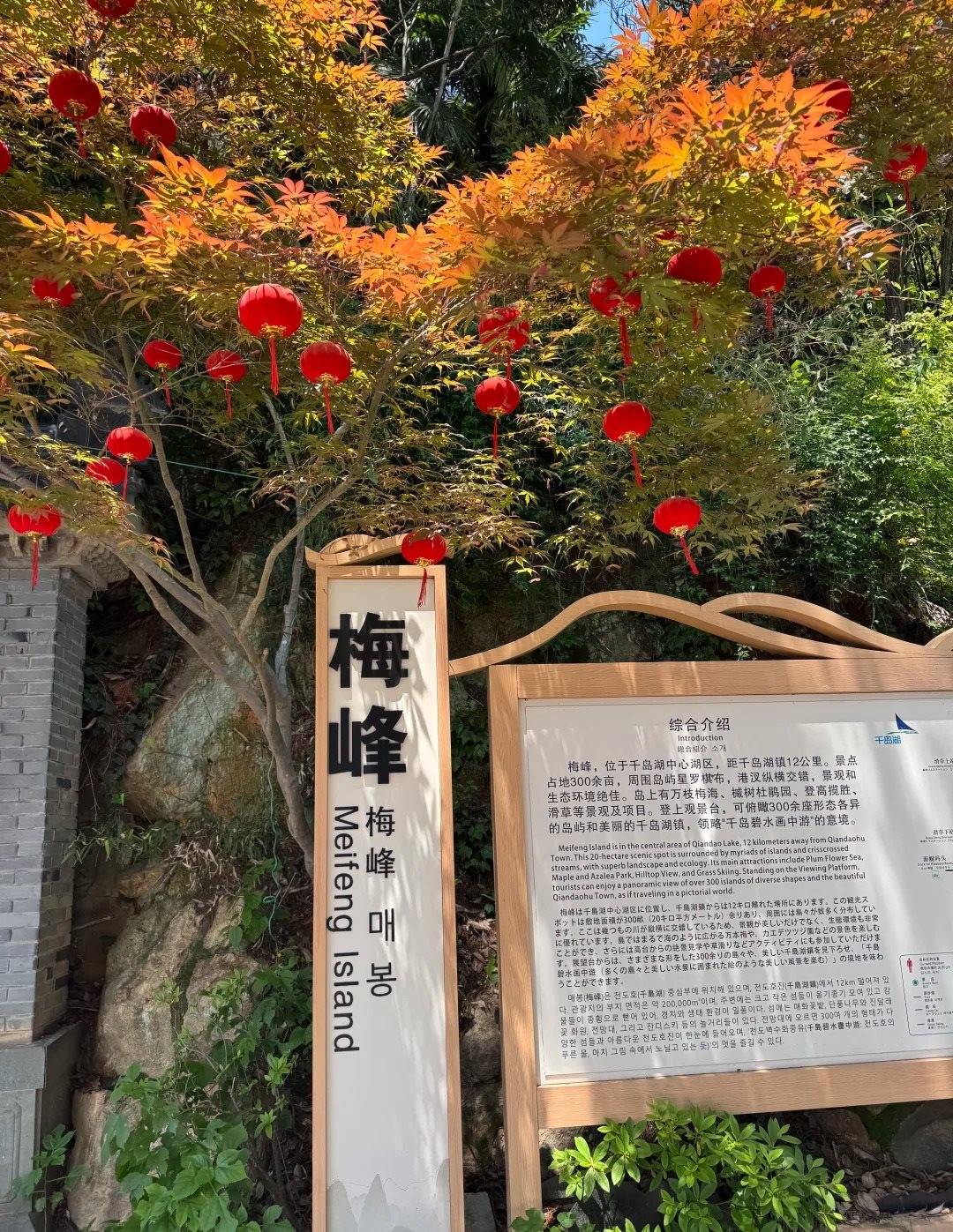 The Meifeng Island interpretive board at Qiandao Lake, headed 梅峰 / Meifeng Island, standing under red lanterns hung in an autumn maple