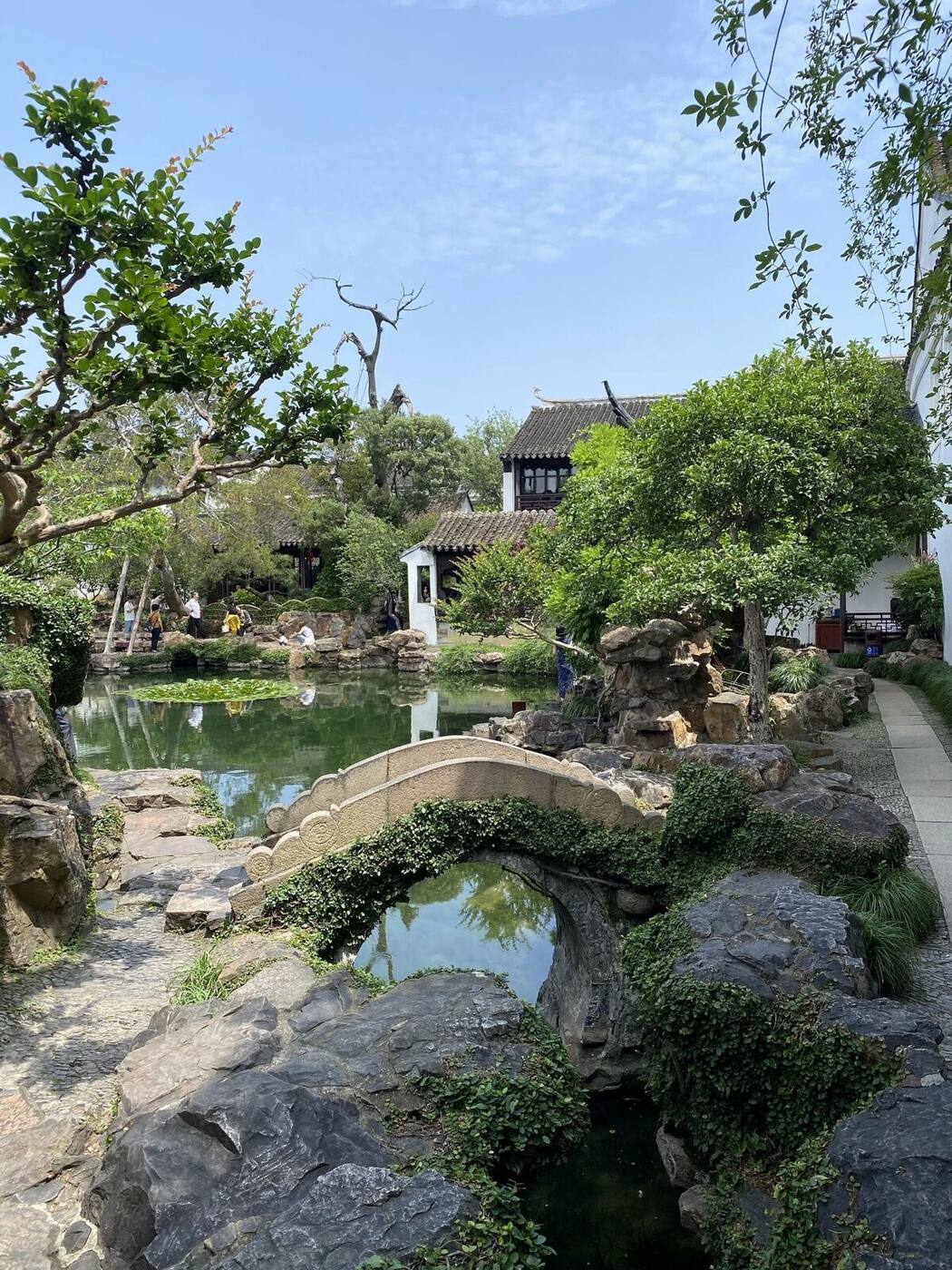 A latticed black-wood garden window framing a Taihu-rock and planting composition against a white wall at the Master of the Nets Garden in Suzhou.