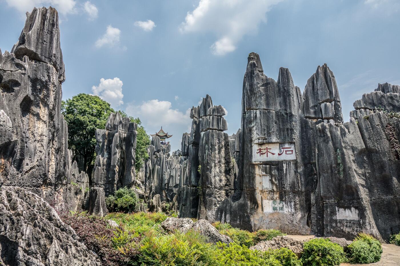 The Stone Forest near Kunming, Yunnan — grey limestone pinnacles standing in dense karst clusters.