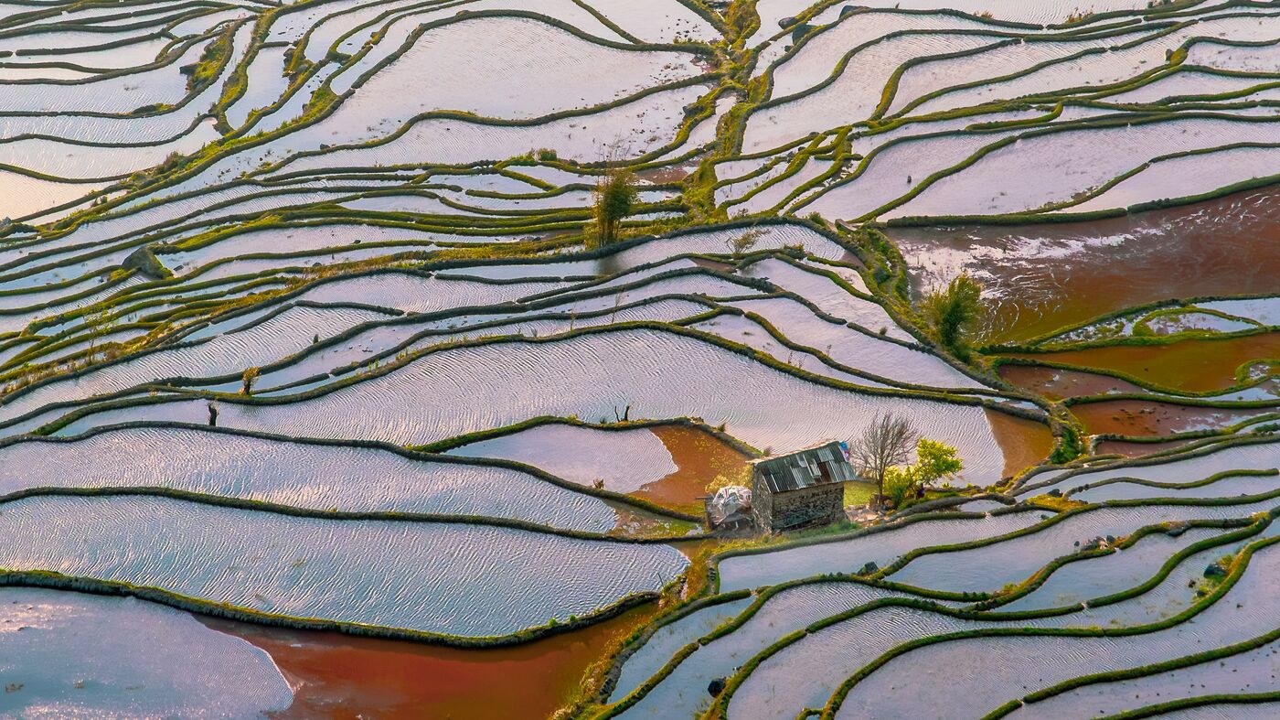 Yuanyang Rice Terraces in Yunnan — flooded terraces catching the light in stepped curves down a hillside.