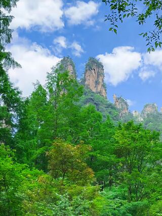 The cleft twin peak of Splitting the Mountain to Save Mother (劈山救母) rising above the forest, Golden Whip Stream, Zhangjiajie