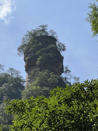 Wenxing Rock (文星岩), the stout pillar whose side profile is read as a human face, Golden Whip Stream, Zhangjiajie