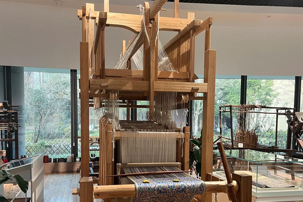 A tall wooden drawloom standing in a daylit gallery, warp threads strung the full height of the frame and a length of woven patterned silk rolled onto the cloth beam.