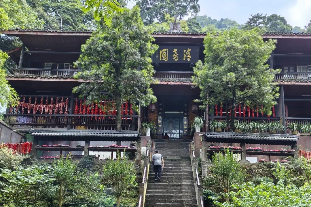 Qingyin Pavilion (清音阁) on Mount Emei — the temple hall above its stone stair, with the gold name plaque under the eaves.