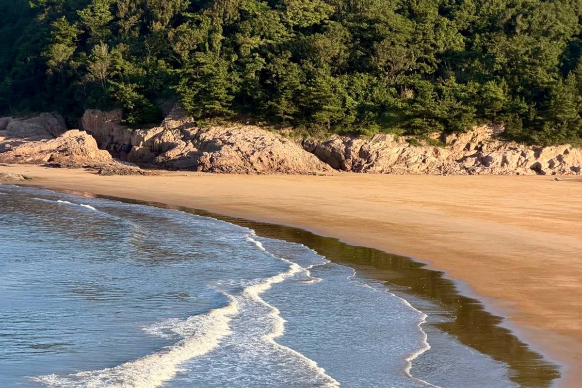 One of Putuoshan's beaches in low sun: a curve of pale sand between a pine-backed rocky headland and shallow surf running in from the East China Sea, with nobody on it.