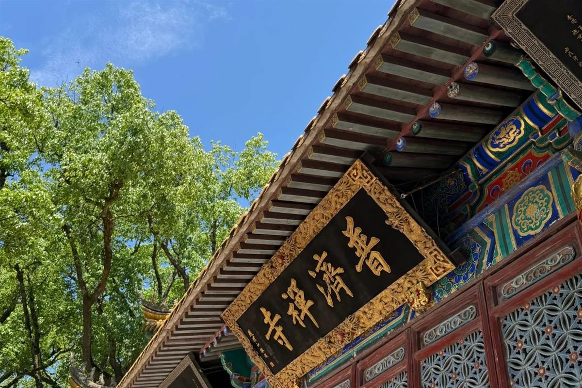 The eaves of Puji Temple on Putuoshan seen from below, with a gold-on-black plaque reading 普濟禪寺 hung beneath painted bracketing, against a blue sky and old camphor trees.