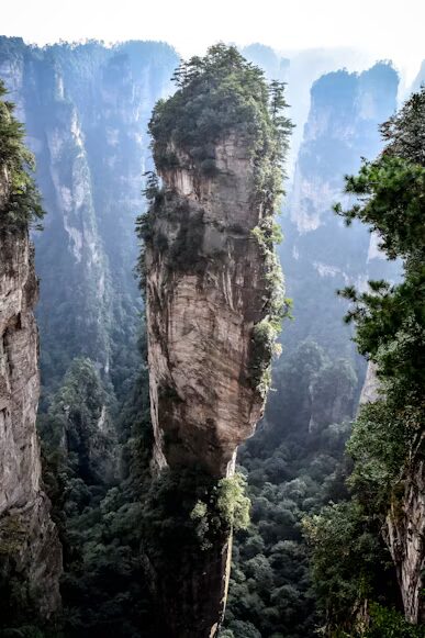 The Avatar Hallelujah Mountain (Southern Sky Column) — a single vegetation-draped sandstone pillar rising above the valley haze at Yuanjiajie, Zhangjiajie.