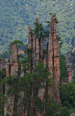 The Yubi Feng brush-shaped peaks on Tianzi Mountain, the park’s highest panorama.