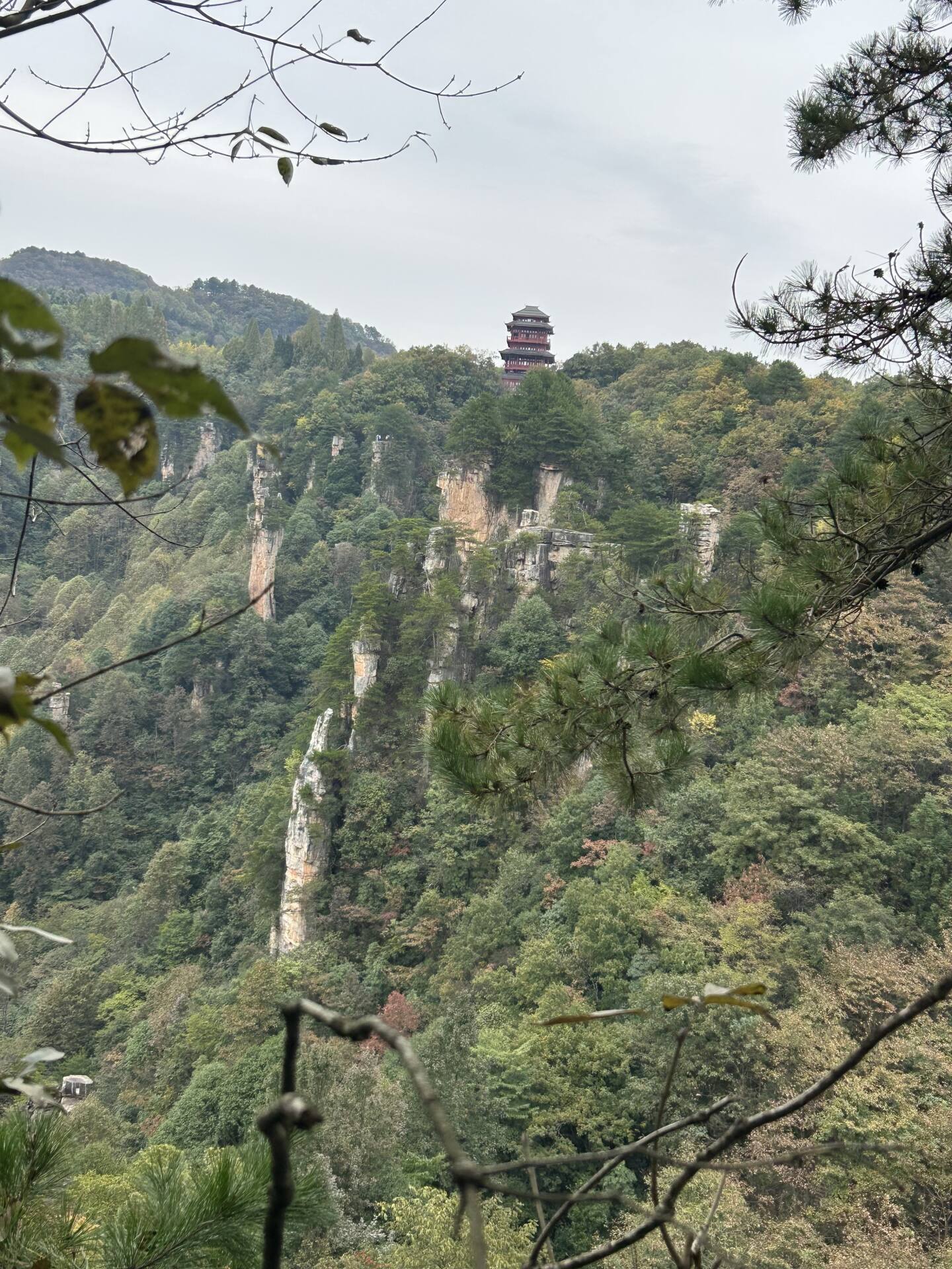 The six-storey Tianzi Pavilion tower rising above the forested ridge of Tianzi Mountain, seen across the quartz-sandstone pillars.