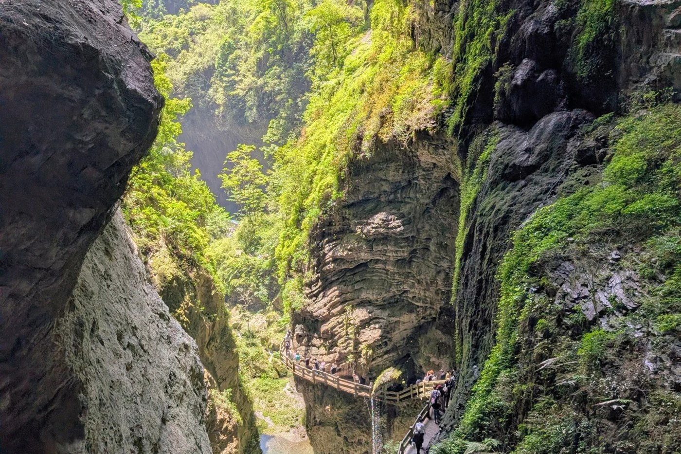 Longshui Gorge at Wulong — timber walkways pinned along the base of near-vertical limestone walls, a line of visitors on them, a pale green pool on the gorge floor and dense green forest above.