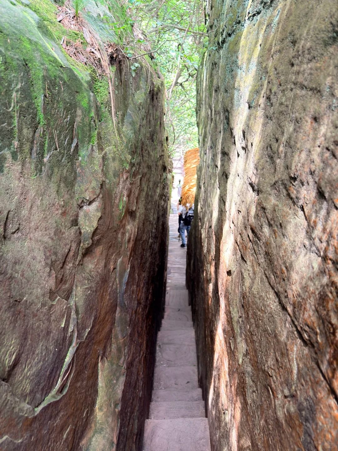 A narrow slot squeeze on the Wulongzhai trail — stone steps between two sheer rock faces barely a shoulder-width apart, Yangjiajie, Zhangjiajie.