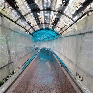 Inside the covered descent slide at Zhangjiajie Grand Canyon — a polished stone chute with steel rails under a blue canopy.
