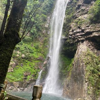 A waterfall dropping into a pool beside the canyon-floor boardwalk in the Zhangjiajie Grand Canyon.