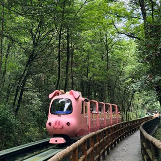 The pig-shaped Ten-Mile Gallery sightseeing tram on its track